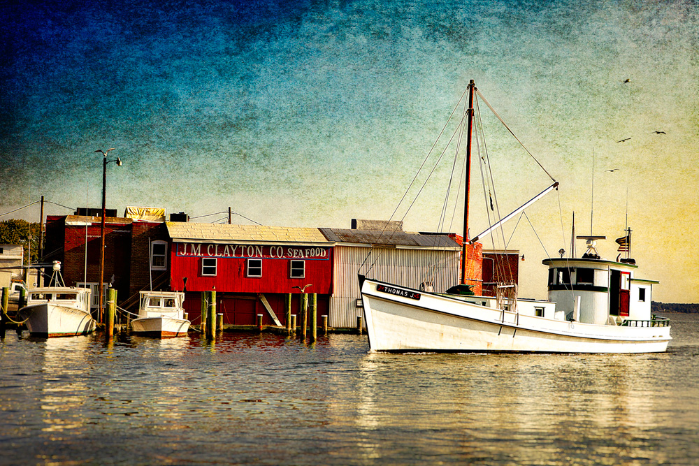 Clayton seafood2a